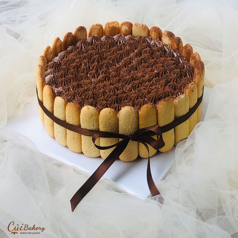 Mẫu Tiramisu - MTS016