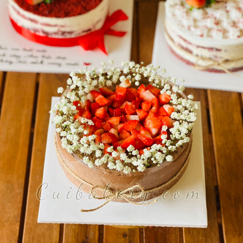 Mẫu Bánh Mousse Chocolate - MCL021