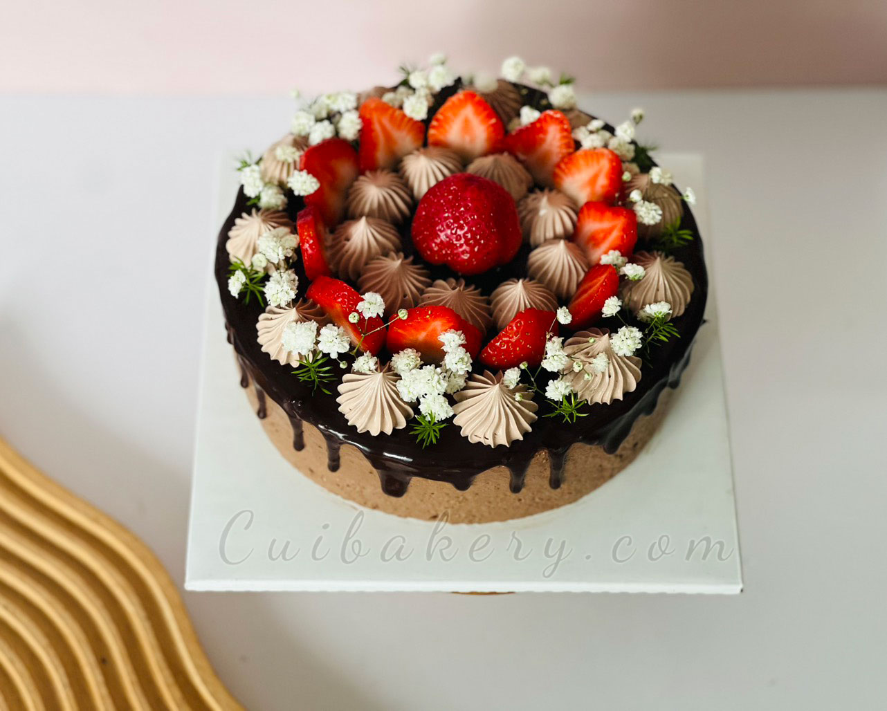 Mẫu Bánh Mousse Chocolate - MCL027