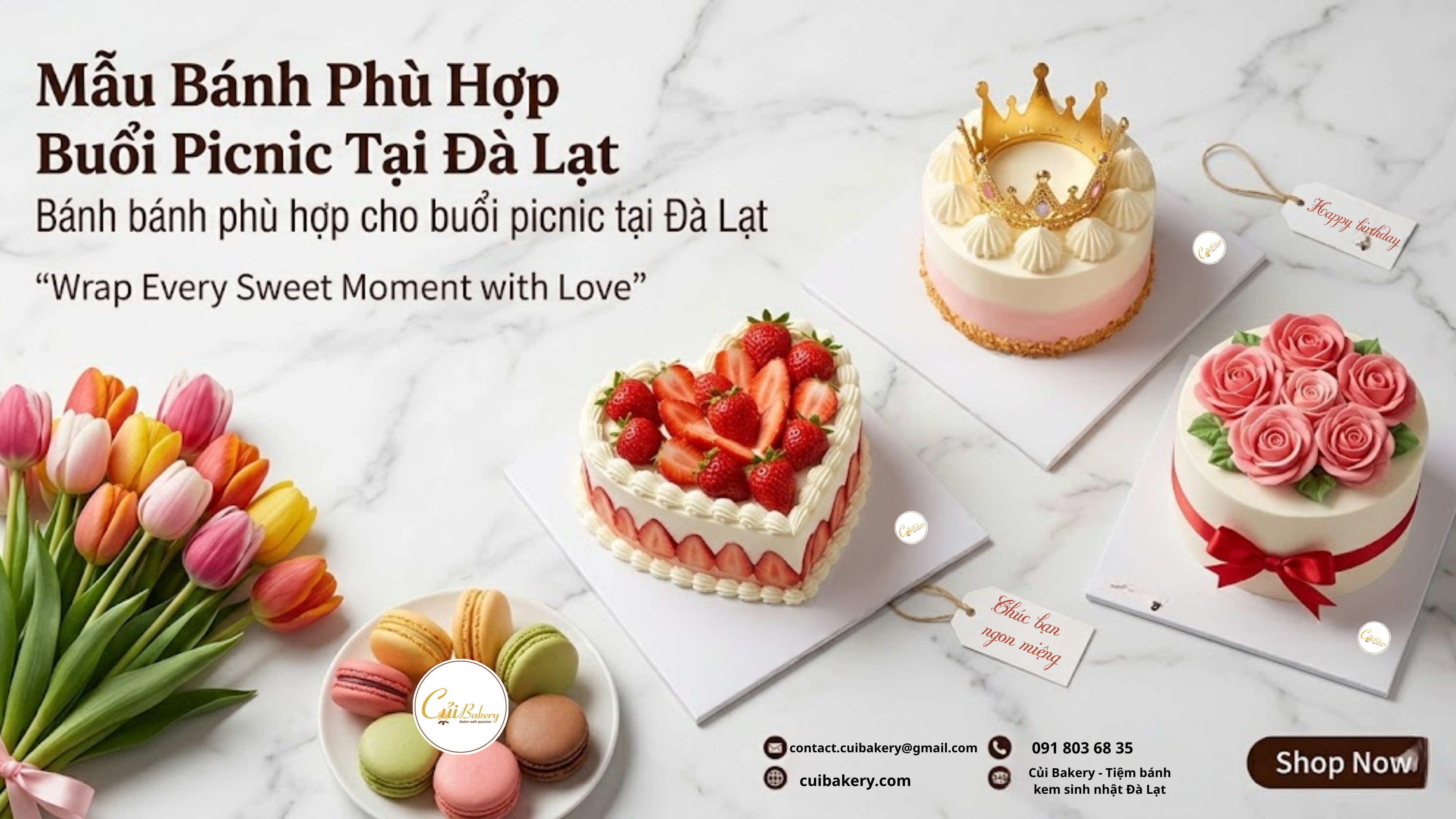 Đi Picnic Đà Lạt Nên Mua Bánh Gì? 5 Mẫu Bánh Mini Sống Ảo Cực Chất